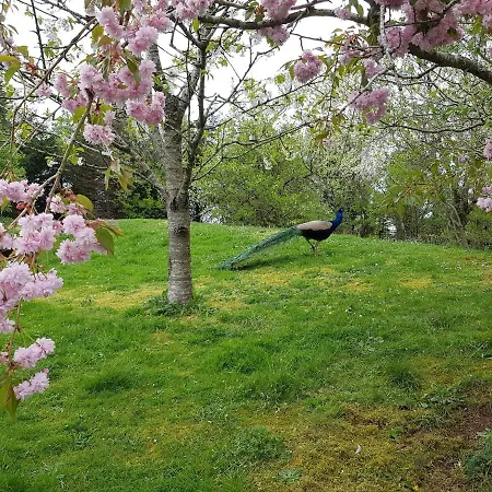 Dugneberg
